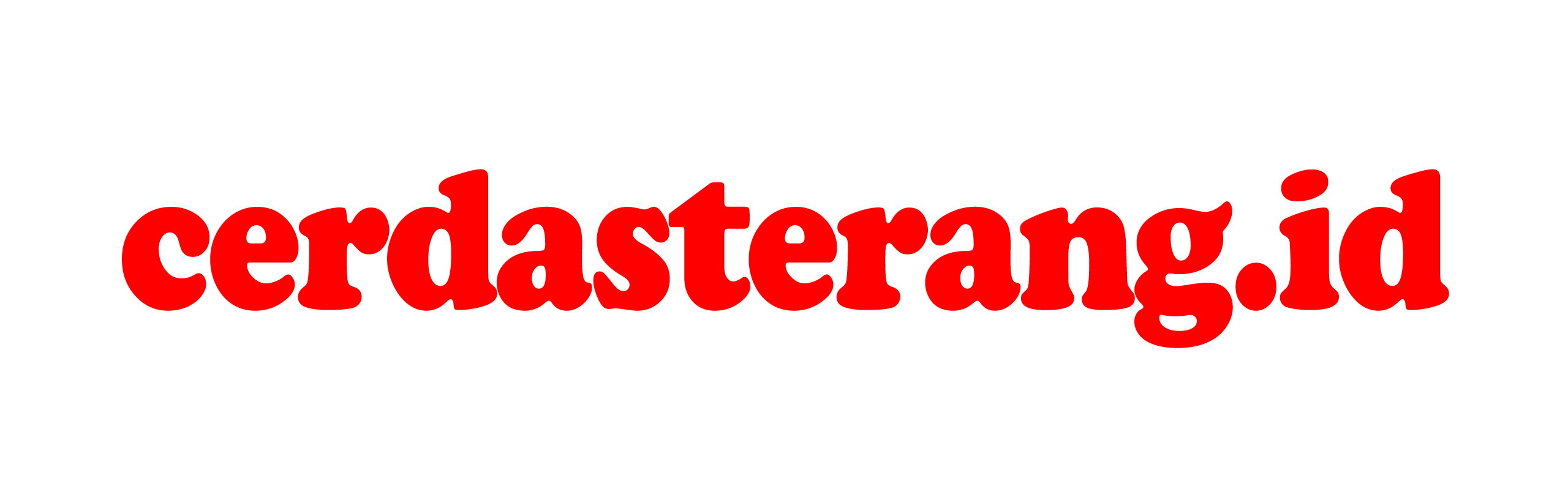 CerdasTerang